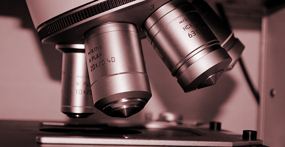 精細化的專業品質